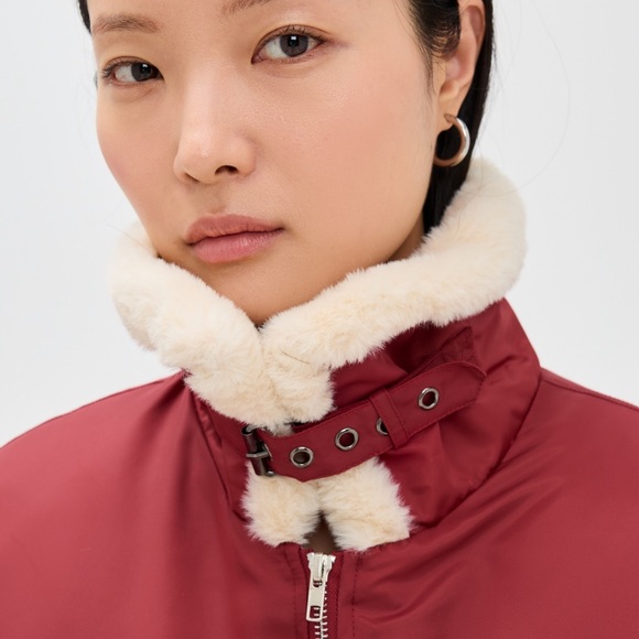 Lioness Burgundy Bomber Jacket with Cream Collar - Picture 5 of 6